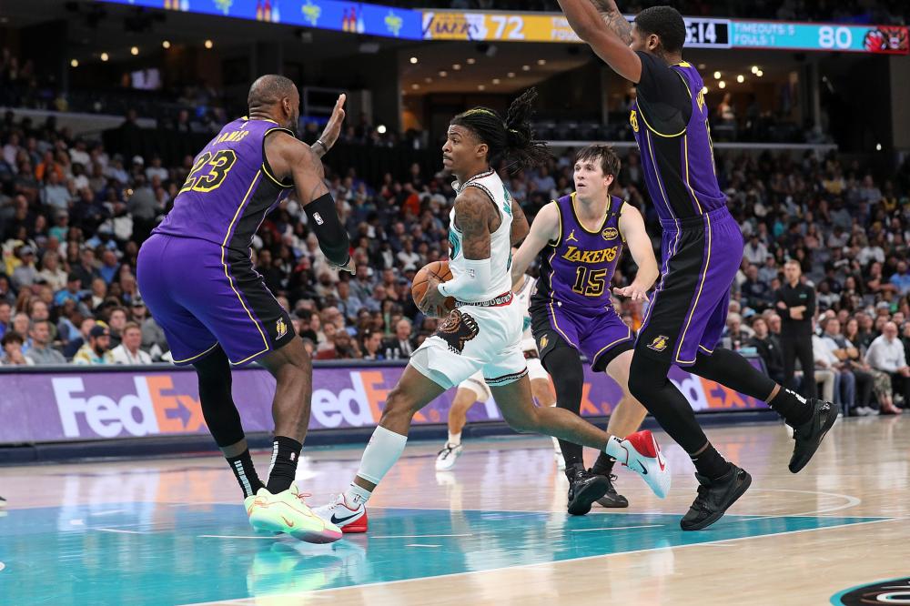 稳定性和抗 稳定性和抗