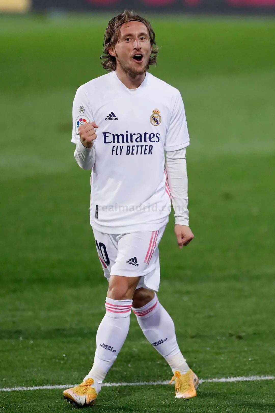 泰山连续导 泰山连续导